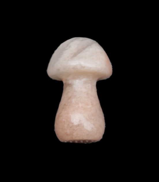Strawberry Arusha Quartz mushroom  35*21*21mm 20g in sunlight - Rocks and Things Store