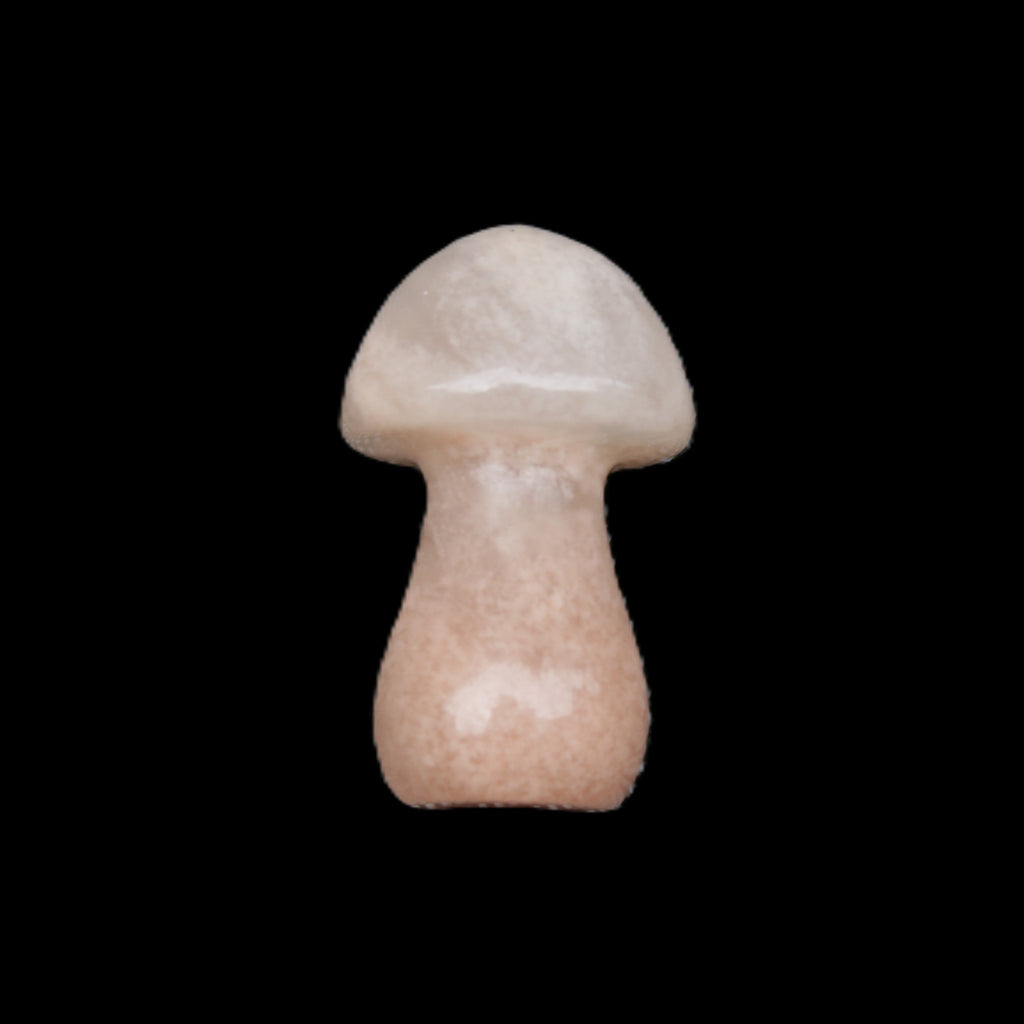 Strawberry Arusha Quartz mushroom  35*21*21mm 20g in sunlight - Rocks and Things Store