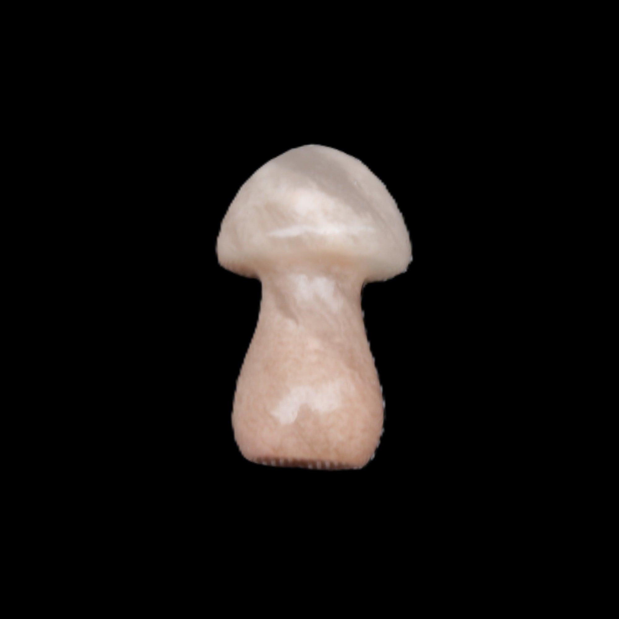 Strawberry Arusha Quartz mushroom  35*21*21mm 20g in sunlight - Rocks and Things Store