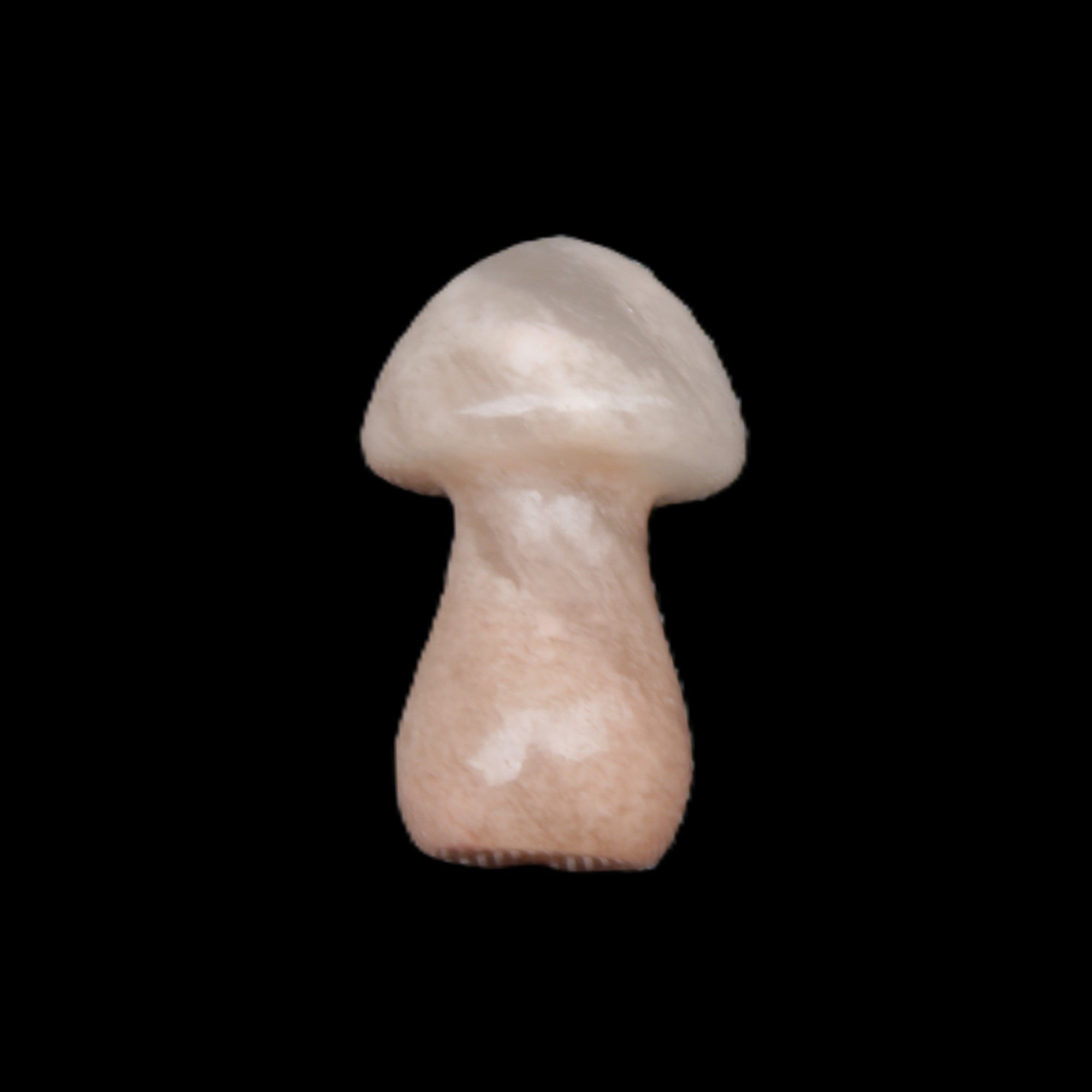 Strawberry Arusha Quartz mushroom  35*21*21mm 20g in sunlight - Rocks and Things Store