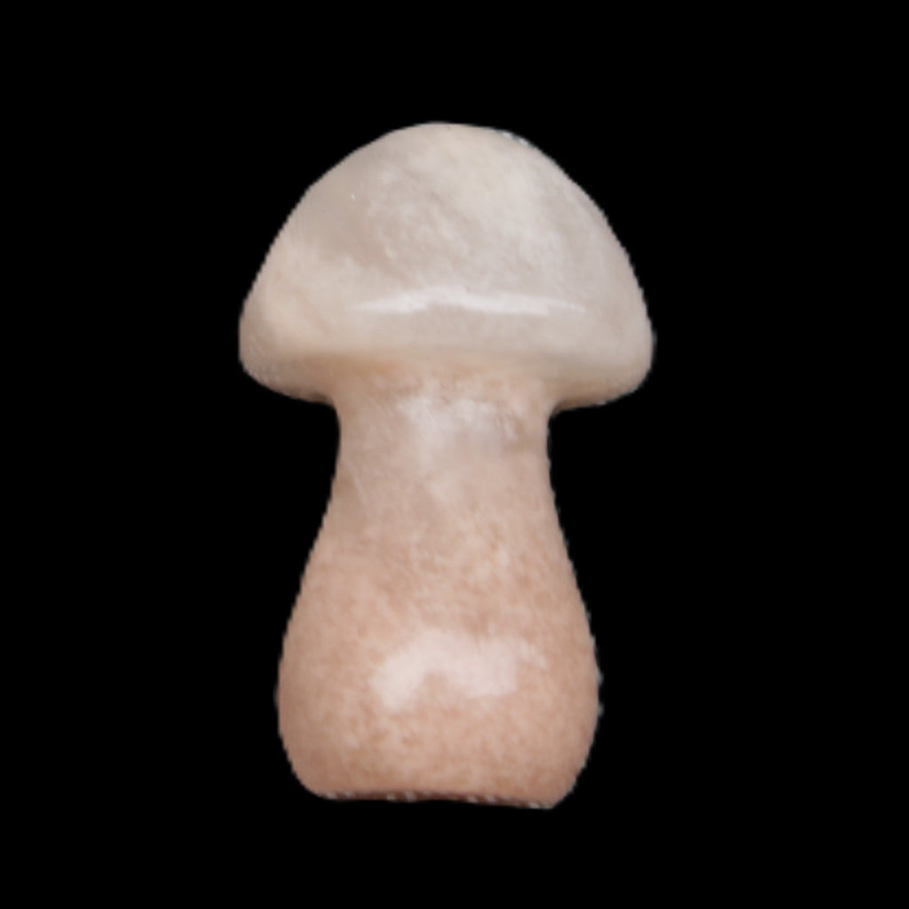 Strawberry Arusha Quartz mushroom  35*21*21mm 20g in sunlight - Rocks and Things Store