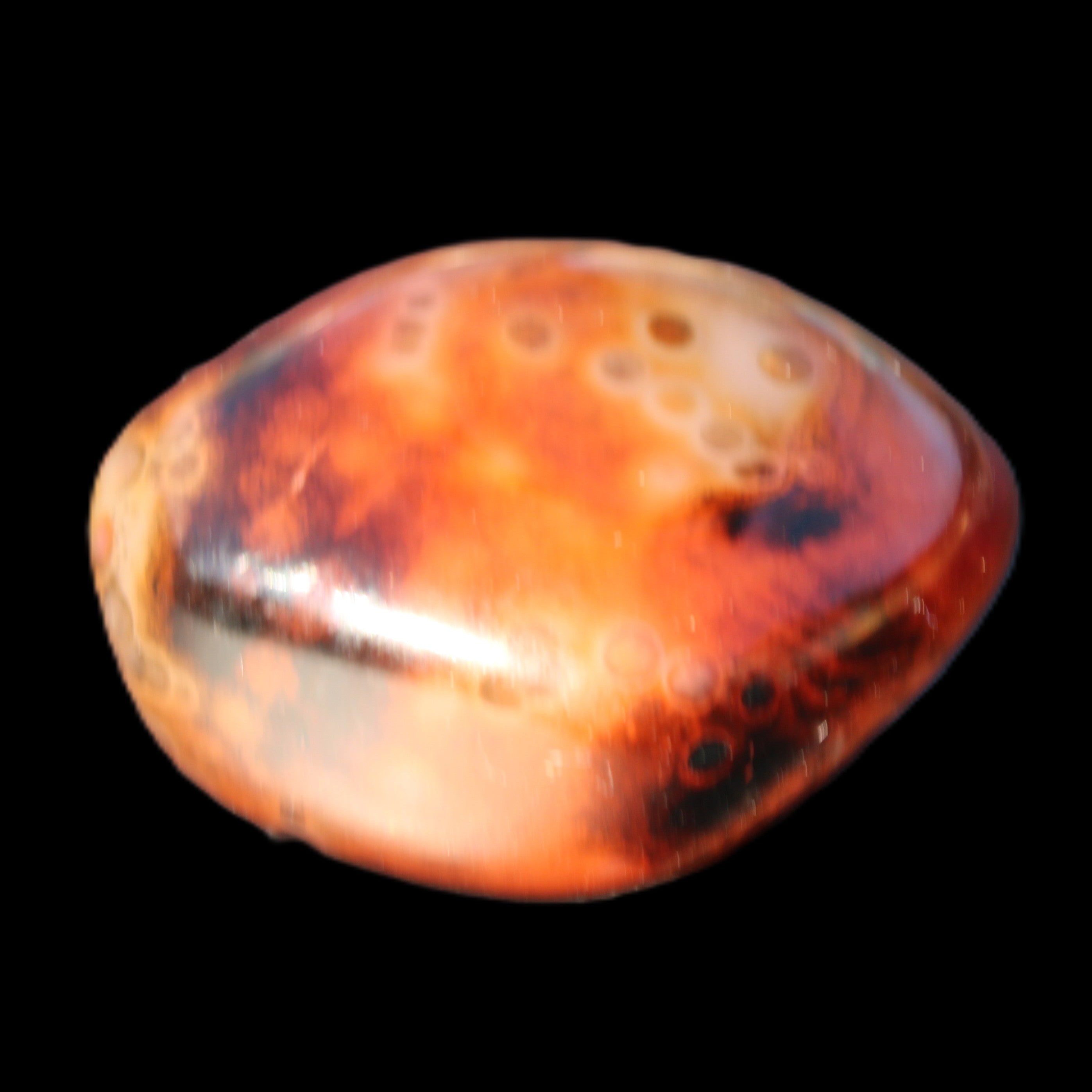 Crazy Lace Silk Banded Agate from Madagascar 40*31mm 44g in sunlight - Rocks and Things Store