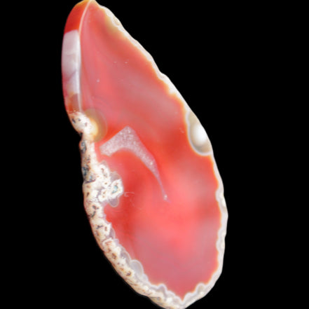 Agate slice 87*48*5mm 40g in sunlight - Rocks and Things Store