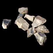 Tiny Black Tourmaline crystals 9-10g in sunlight - Rocks and Things Store