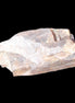 Golden Arusha Quartz lattice crystal 40*12*18mm 16g in sunlight - Rocks and Things Store