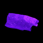 Golden Arusha Quartz lattice crystal 40*12*18mm 16g in UV light - Rocks and Things Store