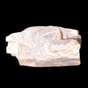 Golden Arusha Quartz lattice crystal 40*12*18mm 16g in sunlight - Rocks and Things Store