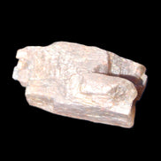 Golden Arusha Quartz lattice crystal 40*12*18mm 16g in sunlight - Rocks and Things Store