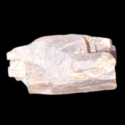 Golden Arusha Quartz lattice crystal 40*12*18mm 16g in sunlight - Rocks and Things Store