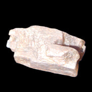 Golden Arusha Quartz lattice crystal 40*12*18mm 16g in sunlight - Rocks and Things Store