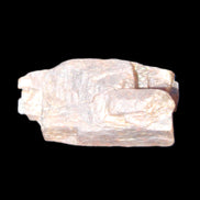 Golden Arusha Quartz lattice crystal 40*12*18mm 16g in sunlight - Rocks and Things Store