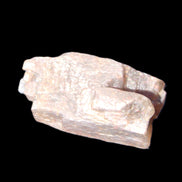 Golden Arusha Quartz lattice crystal 40*12*18mm 16g in sunlight - Rocks and Things Store