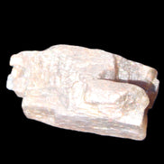 Golden Arusha Quartz lattice crystal 40*12*18mm 16g in sunlight - Rocks and Things Store