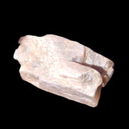 Golden Arusha Quartz lattice crystal 40*12*18mm 16g in sunlight - Rocks and Things Store