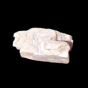 Golden Arusha Quartz lattice crystal 40*12*18mm 16g in sunlight - Rocks and Things Store