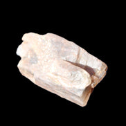 Golden Arusha Quartz lattice crystal 40*12*18mm 16g in sunlight - Rocks and Things Store