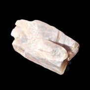 Golden Arusha Quartz lattice crystal 40*12*18mm 16g in sunlight - Rocks and Things Store