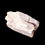 Golden Arusha Quartz lattice crystal 40*12*18mm 16g in sunlight - Rocks and Things Store