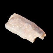 Golden Arusha Quartz lattice crystal 40*12*18mm 16g in sunlight - Rocks and Things Store