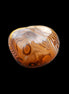 Crazy Lace Agate 30*35*22mm 39g in sunlight - Rocks and Things Store