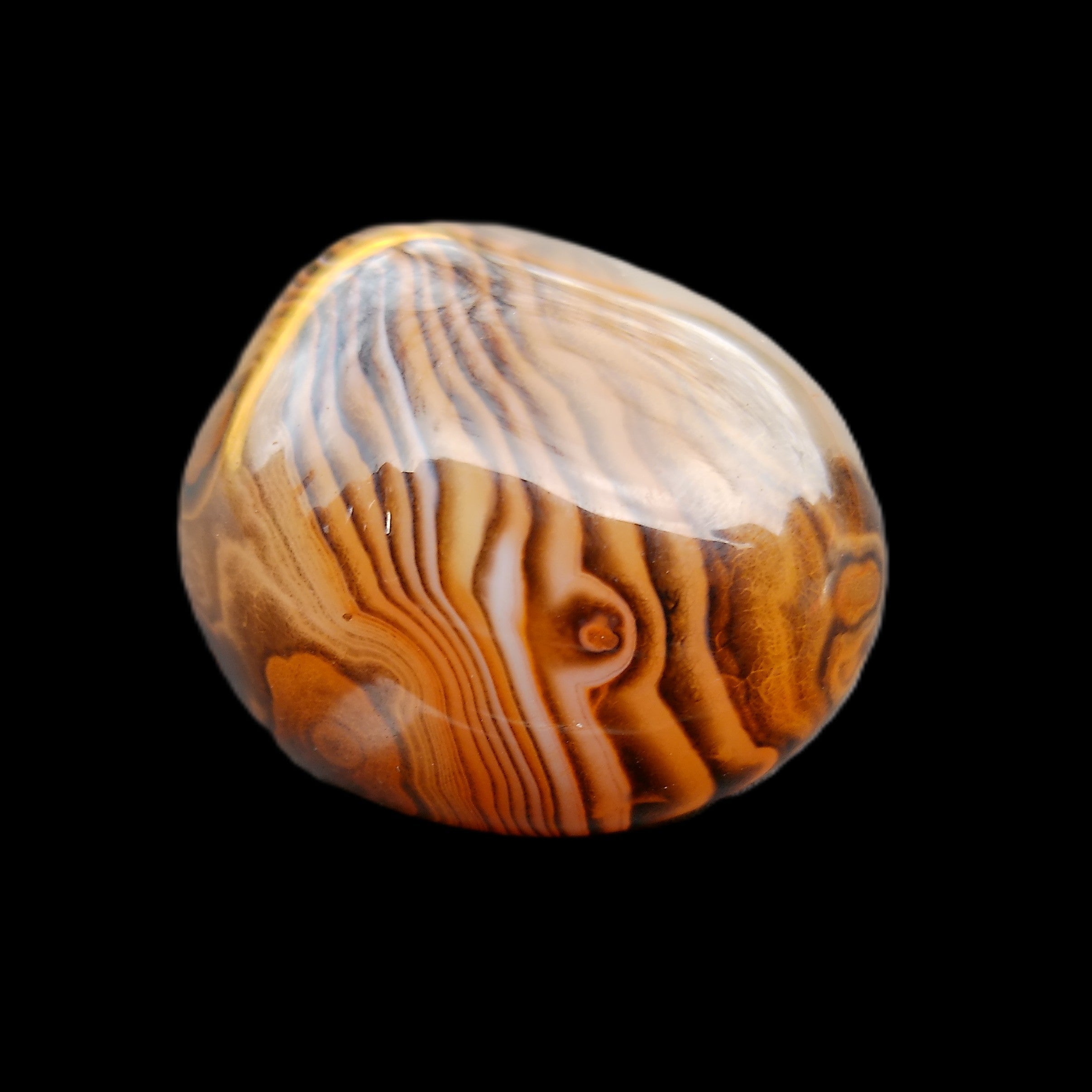 Crazy Lace Agate 30*35*22mm 39g in sunlight - Rocks and Things Store