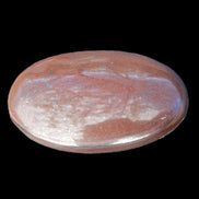 Brownstone palmstone 56mm 48g in sunlight - Rocks and Things Store