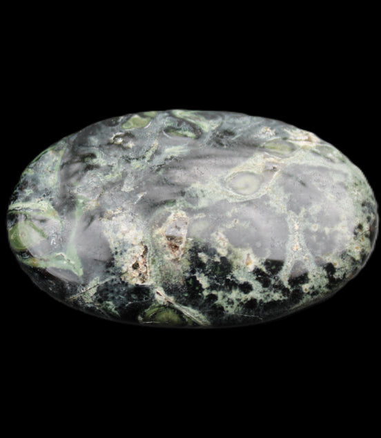 Kambaba Jasper palmstone 55mm 41g in sunlight - Rocks and Things Store