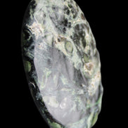 Kambaba Jasper palmstone 55mm 41g in sunlight - Rocks and Things Store
