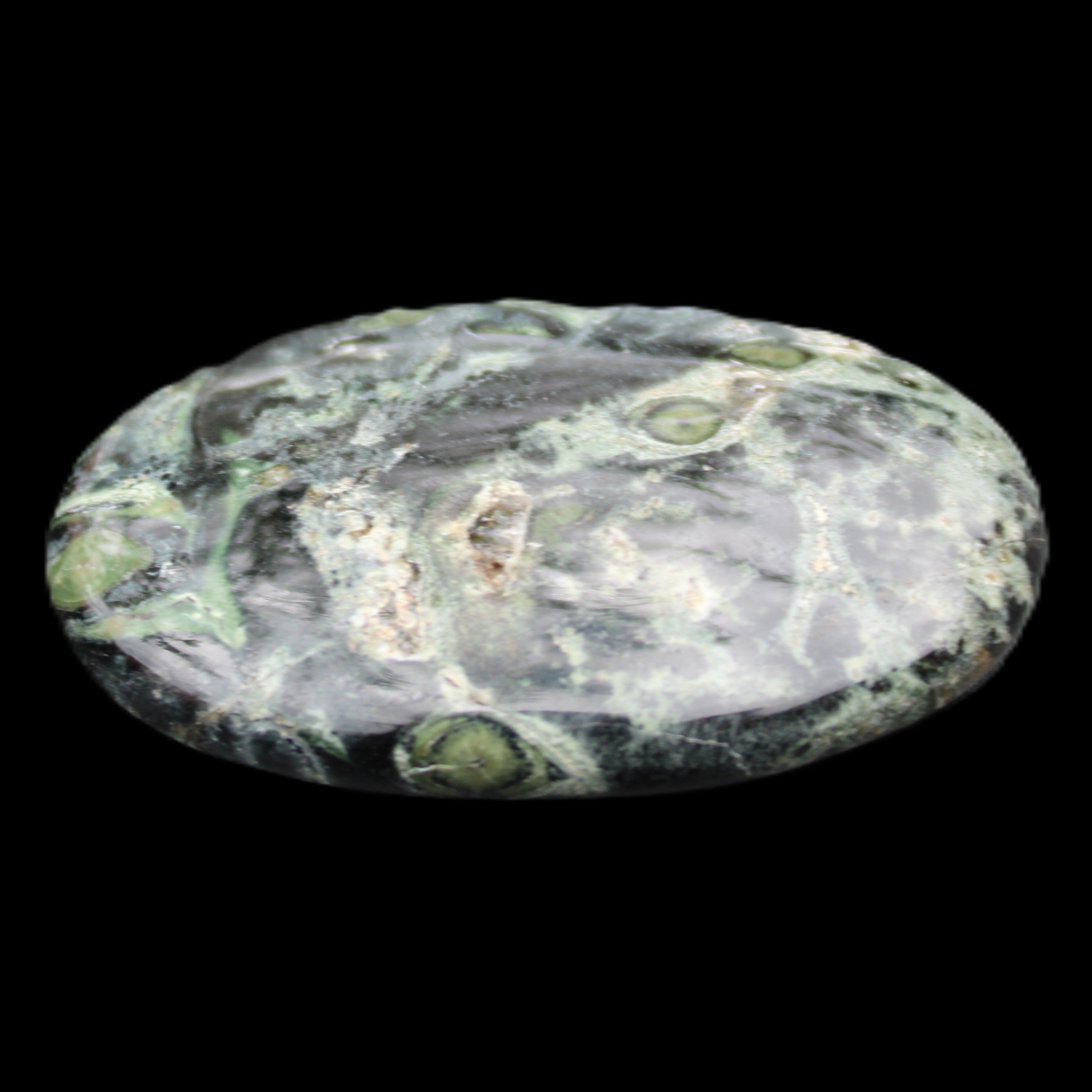 Kambaba Jasper palmstone 55mm 41g in sunlight - Rocks and Things Store