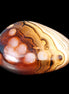Crazy Lace Agate 46*32*21mm 46g in sunlight - Rocks and Things Store
