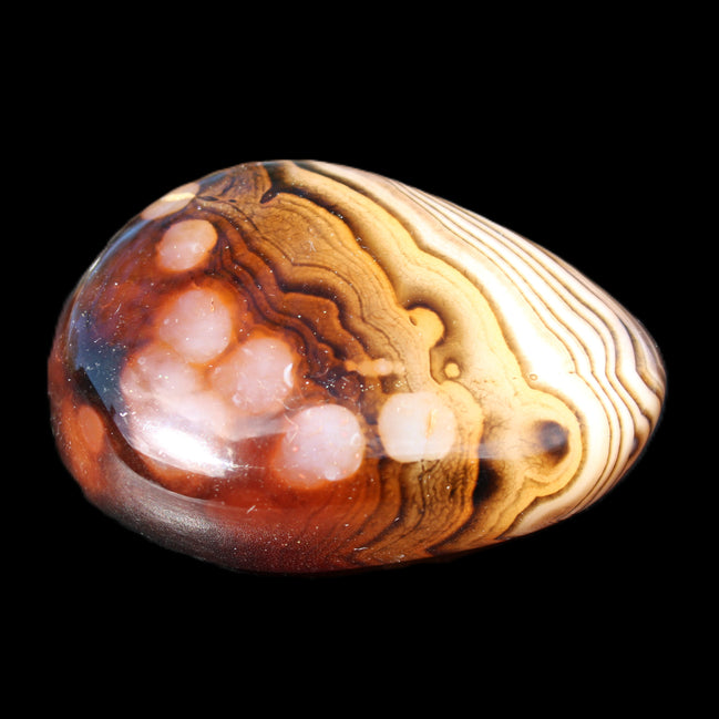 Crazy Lace Agate 46*32*21mm 46g in sunlight - Rocks and Things Store