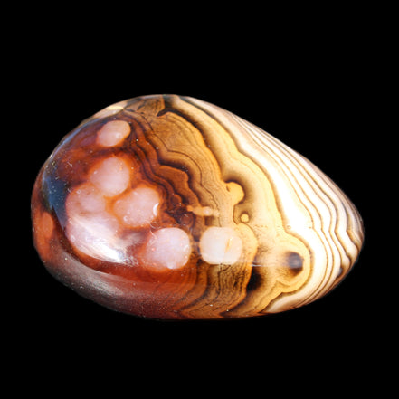 Crazy Lace Agate 46*32*21mm 46g in sunlight - Rocks and Things Store