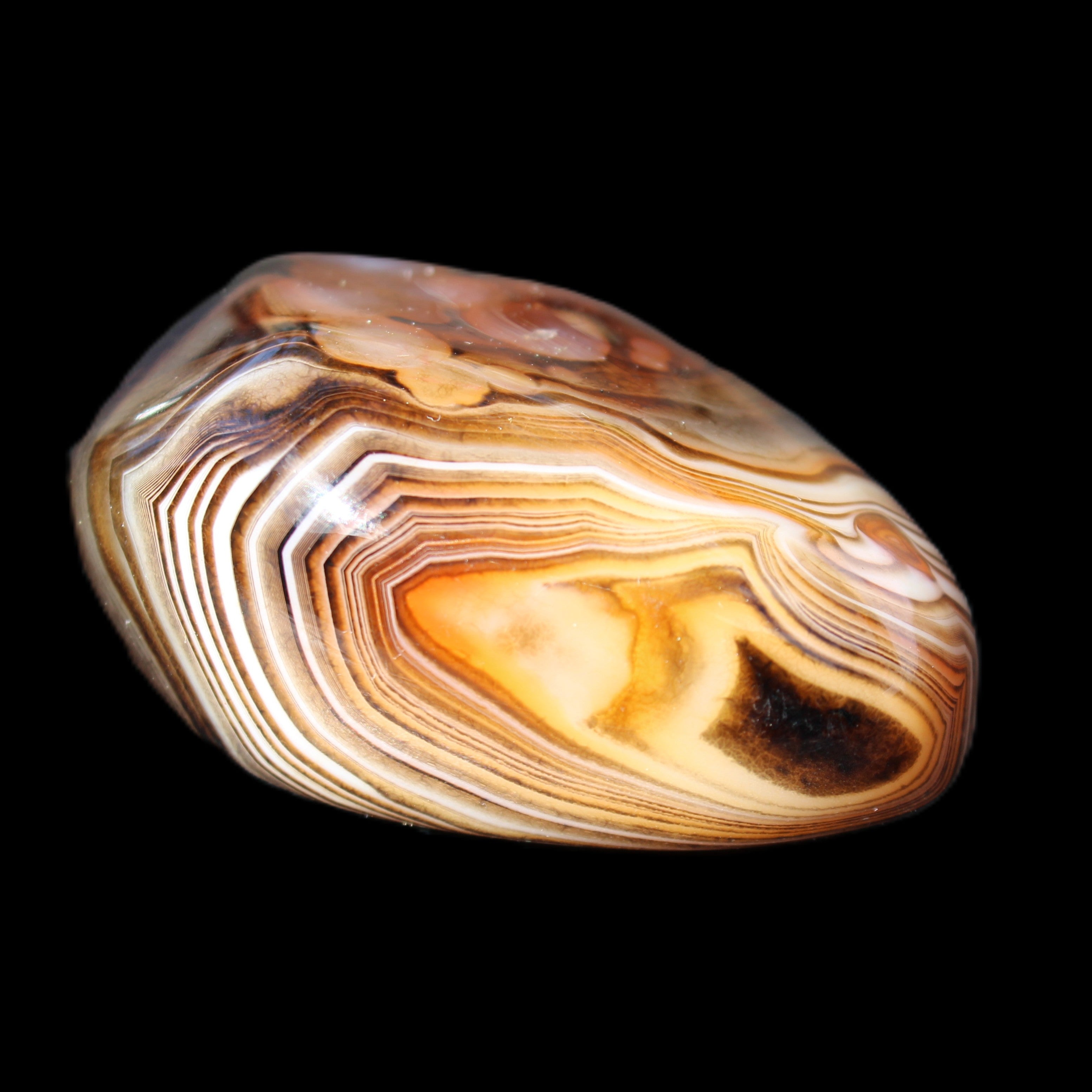 Crazy Lace Agate 46*32*21mm 46g in sunlight - Rocks and Things Store