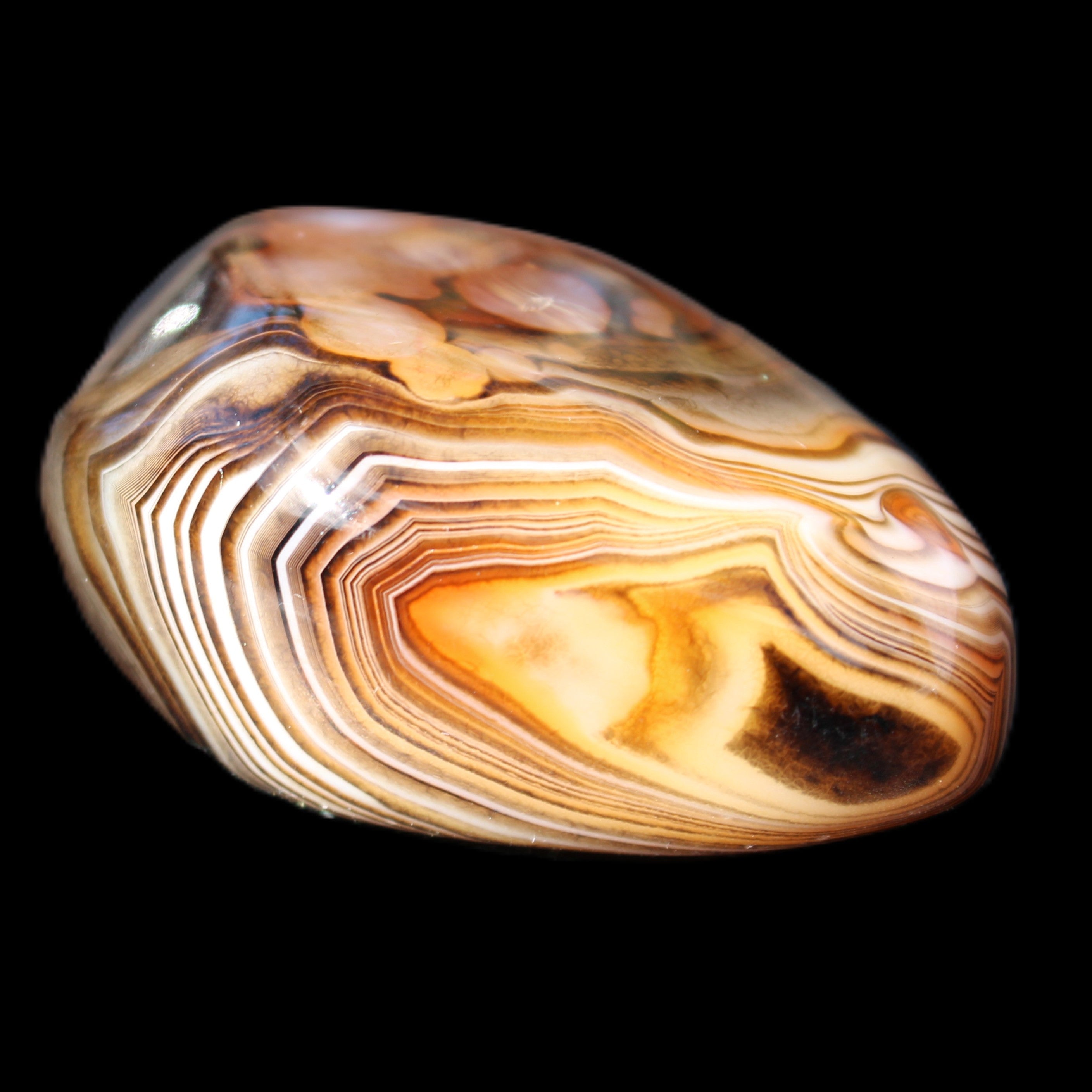 Crazy Lace Agate 46*32*21mm 46g in sunlight - Rocks and Things Store