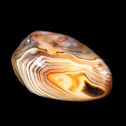 Crazy Lace Agate 46*32*21mm 46g in sunlight - Rocks and Things Store