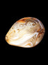 Crazy Lace Agate 54*43*26mm 83g in sunlight - Rocks and Things Store