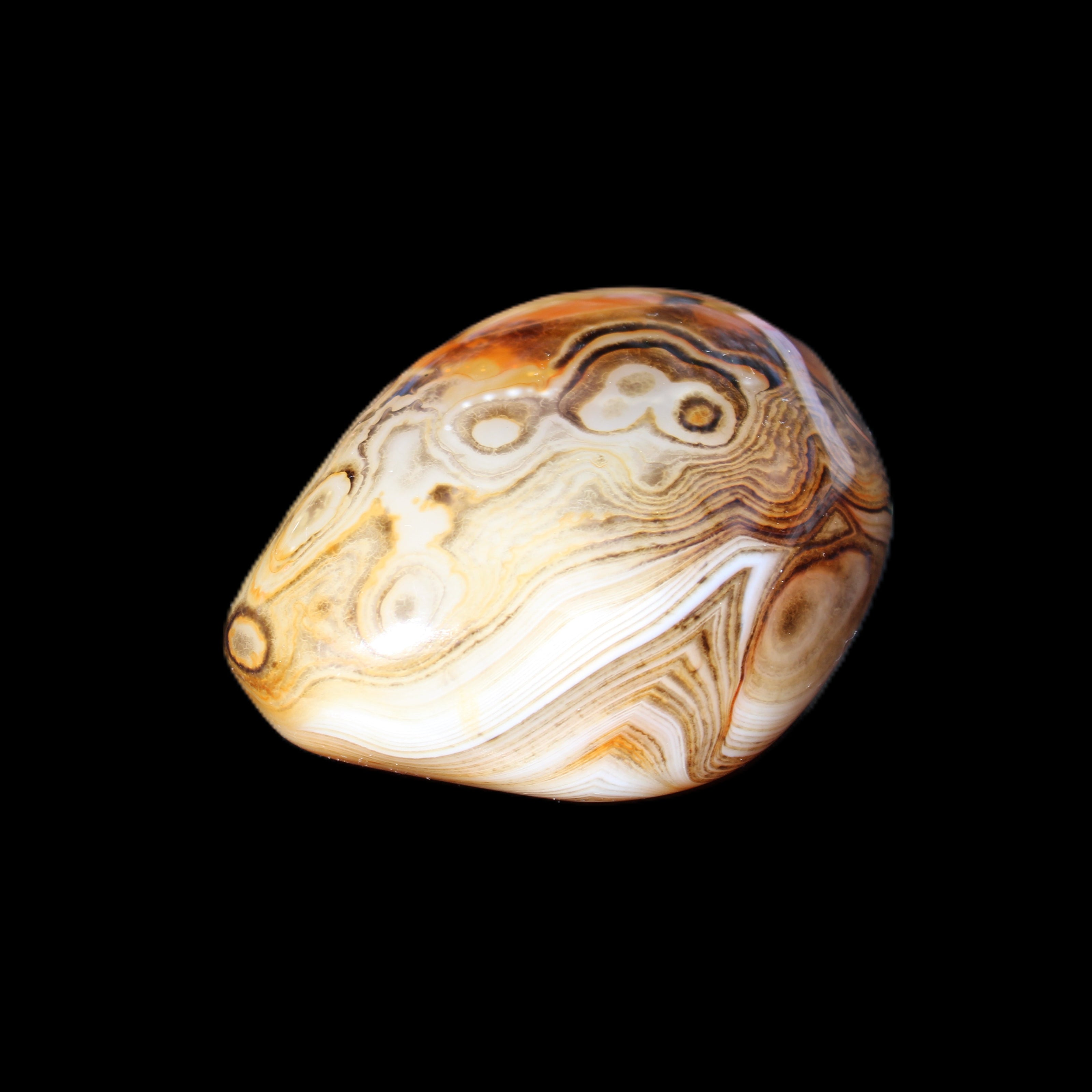 Crazy Lace Agate 54*43*26mm 83g in sunlight - Rocks and Things Store