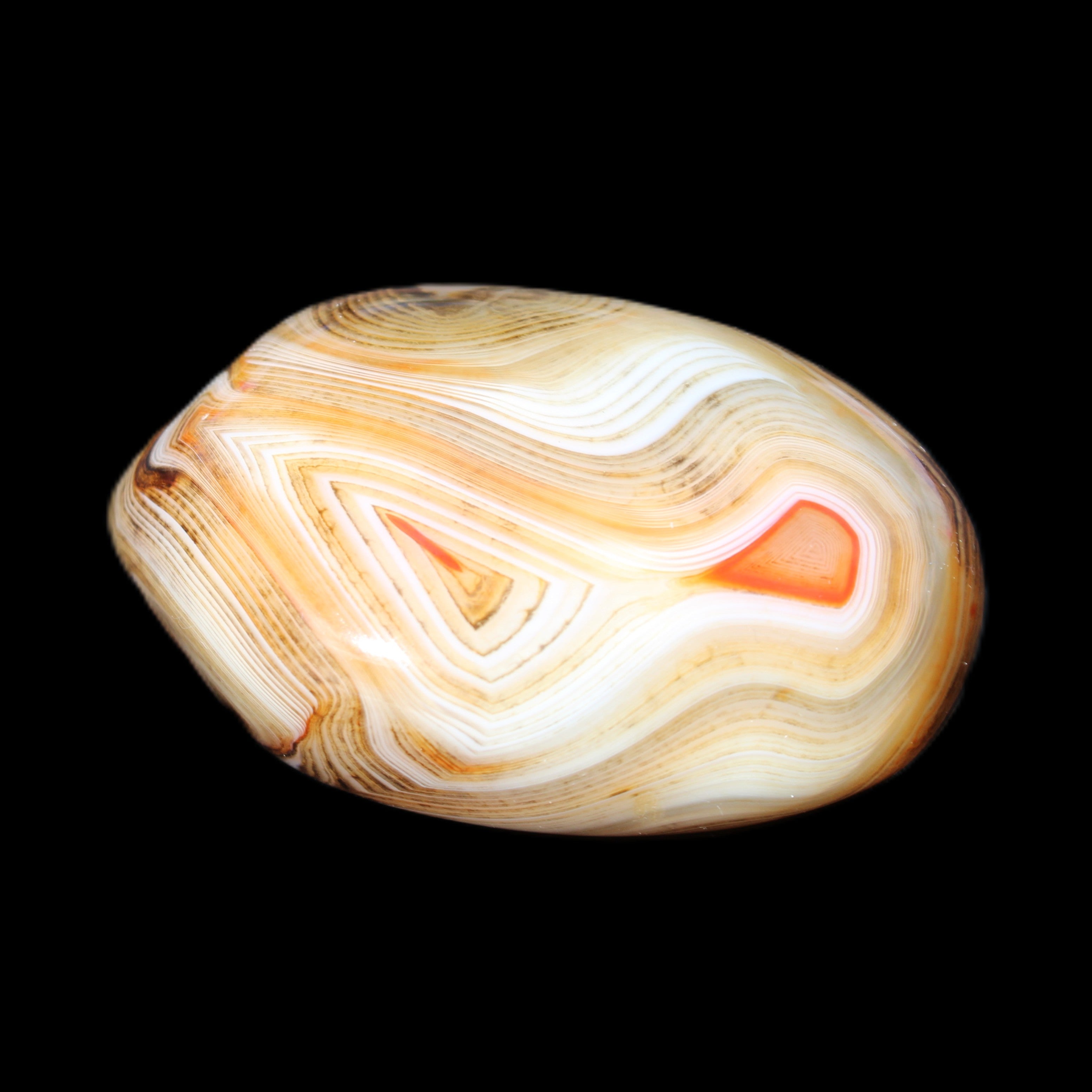 Crazy Lace Agate 54*43*26mm 83g in sunlight - Rocks and Things Store