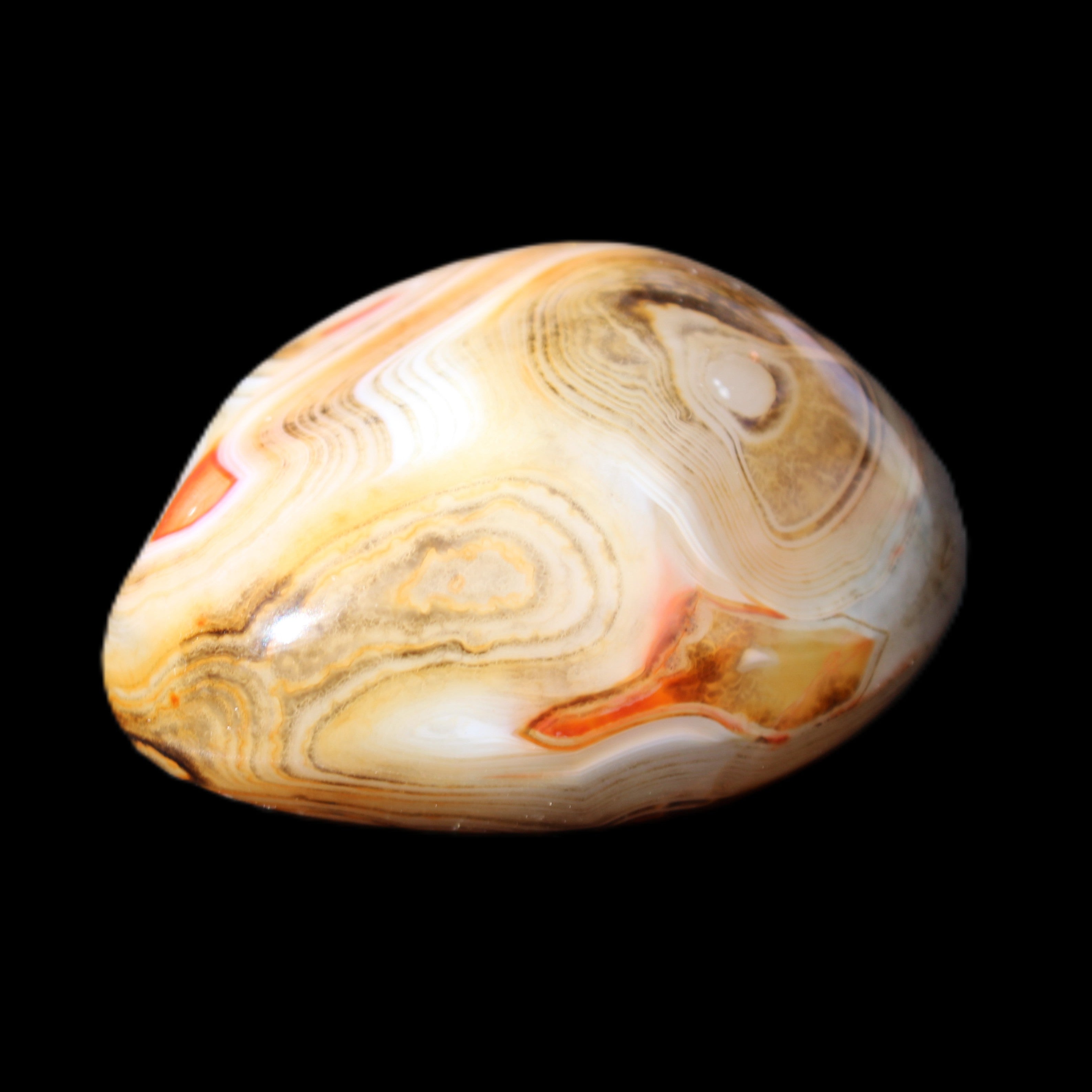 Crazy Lace Agate 54*43*26mm 83g in sunlight - Rocks and Things Store