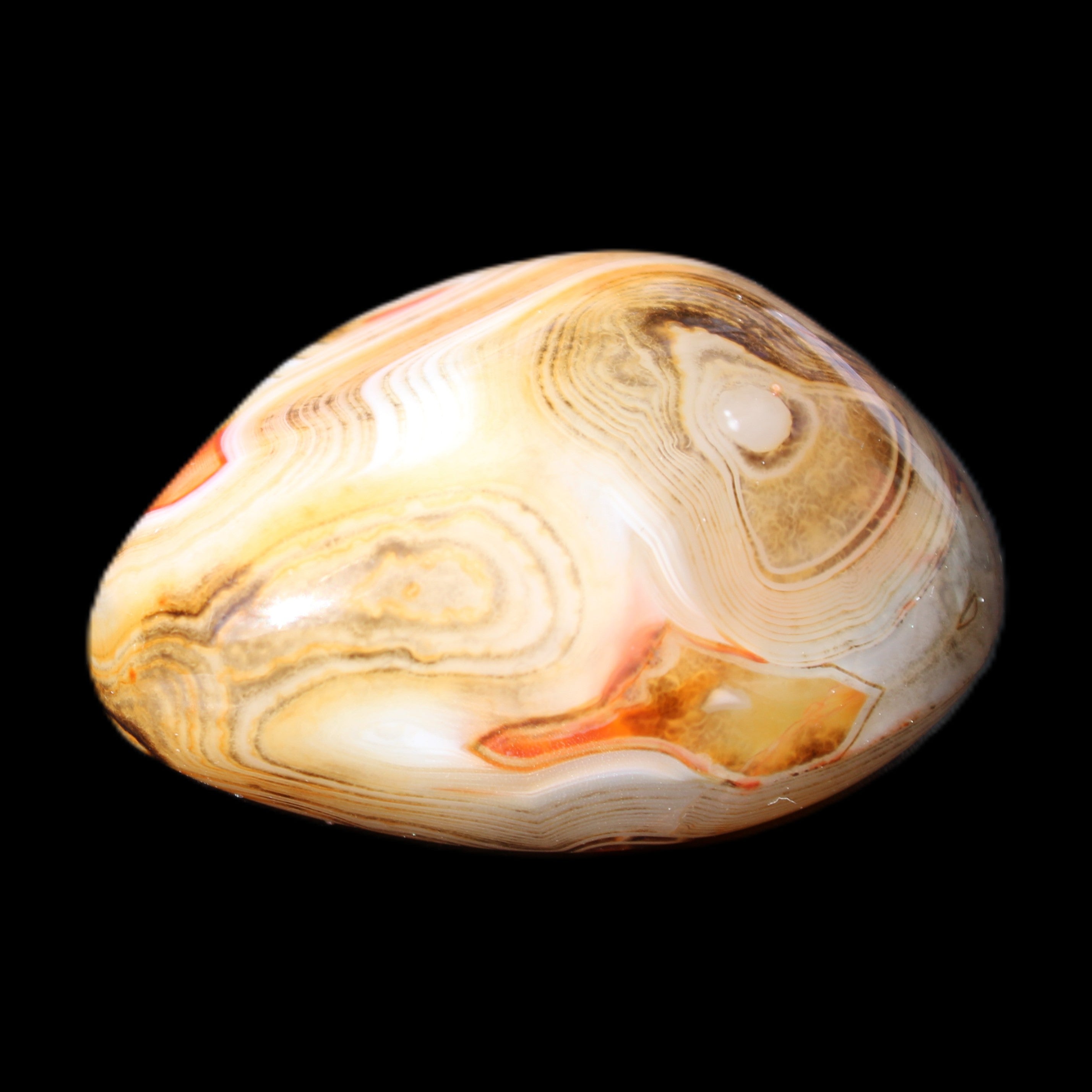 Crazy Lace Agate 54*43*26mm 83g in sunlight - Rocks and Things Store