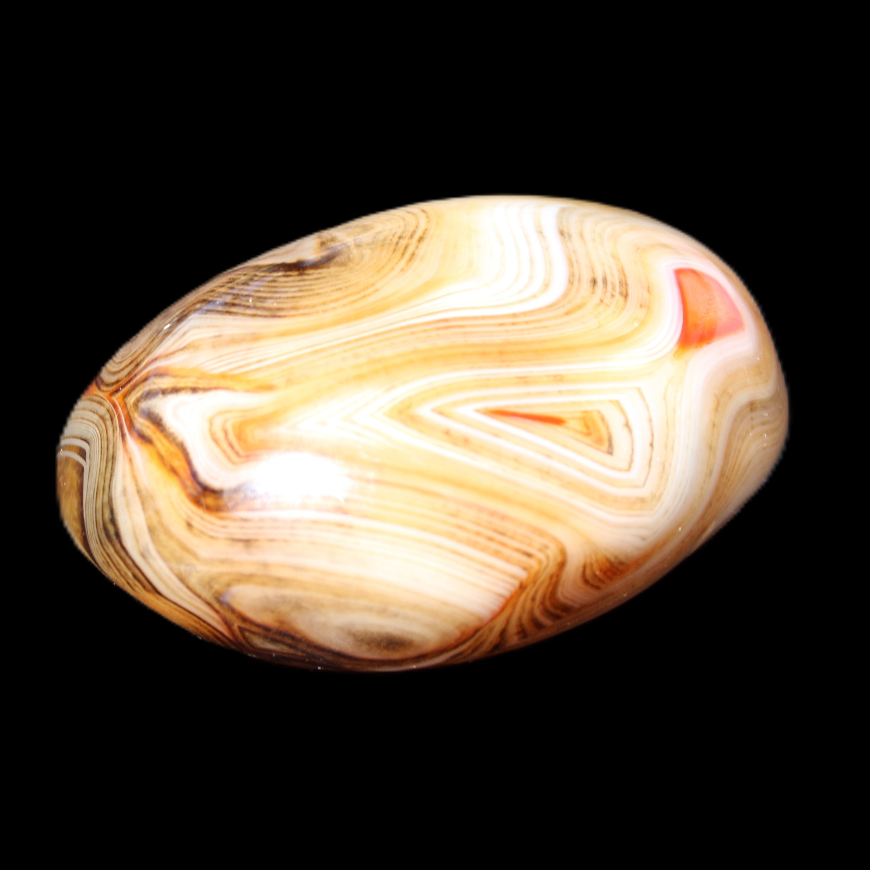 Crazy Lace Agate 54*43*26mm 83g in sunlight - Rocks and Things Store