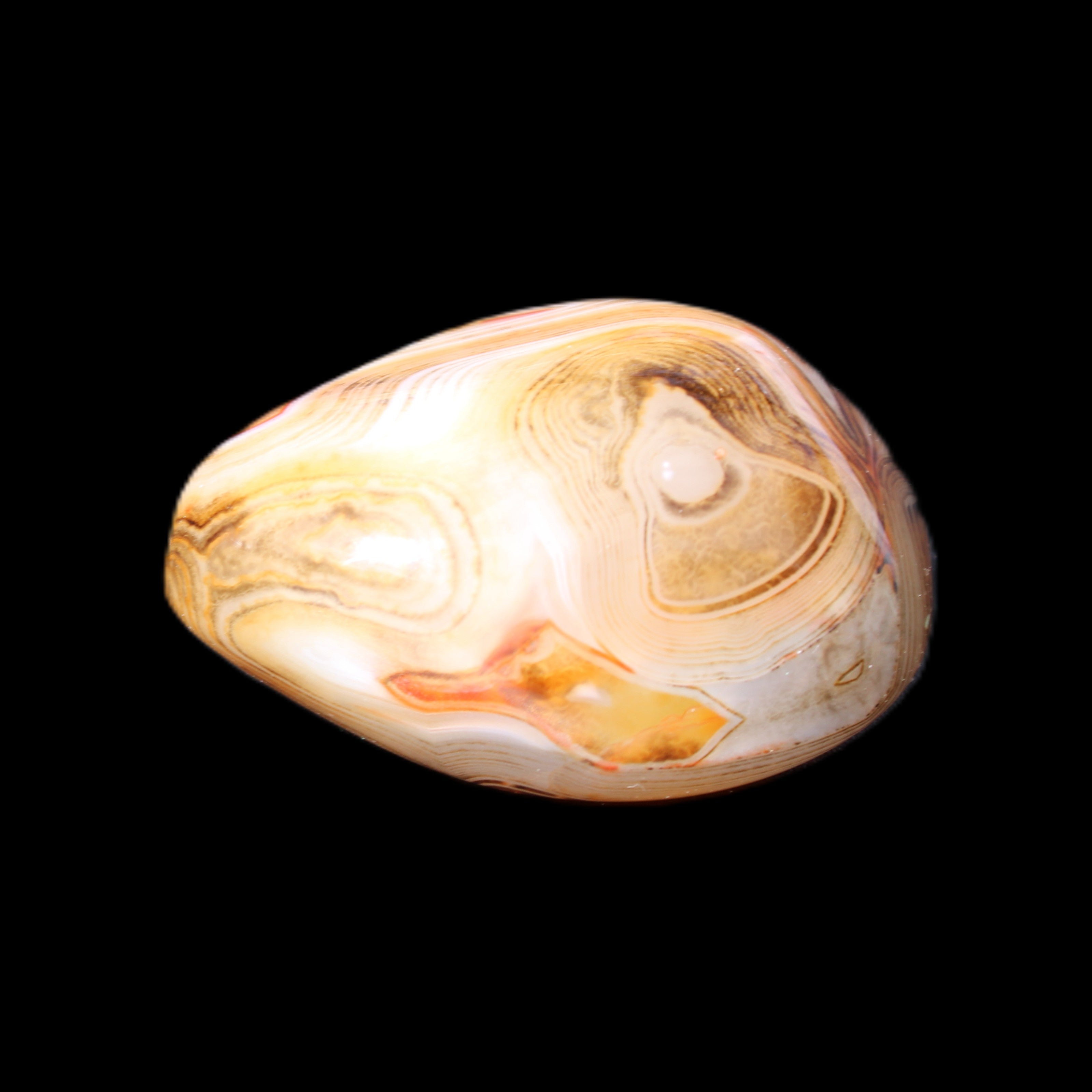 Crazy Lace Agate 54*43*26mm 83g in sunlight - Rocks and Things Store