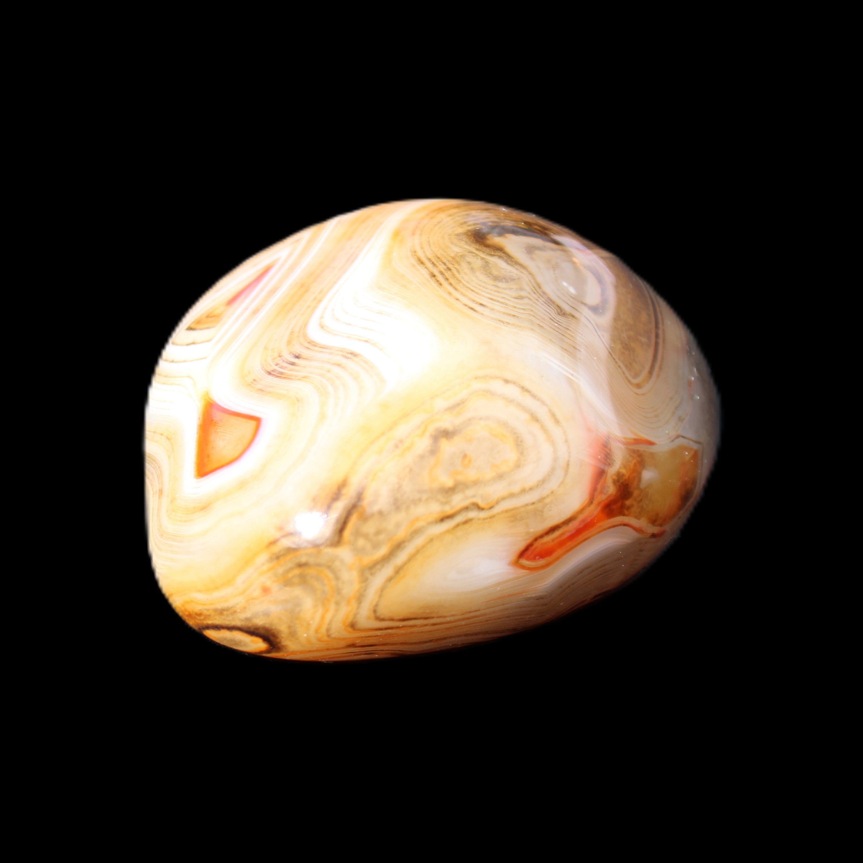 Crazy Lace Agate 54*43*26mm 83g in sunlight - Rocks and Things Store