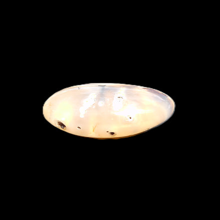 Cherry Blossom Agate palmstone 45*33*16mm 35g in sunlight - Rocks and Things Store