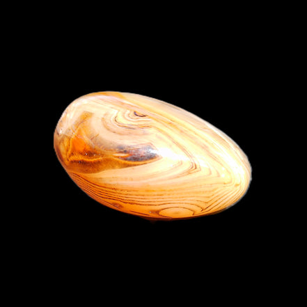 Crazy Lace Agate 44*42*22mm 63g in sunlight - Rocks and Things Store