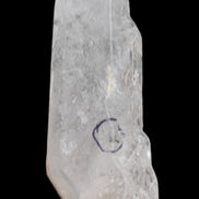 Herkimer Diamond Quartz Enhydro 110*37*17mm 120g in sunlight - Rocks and Things Store