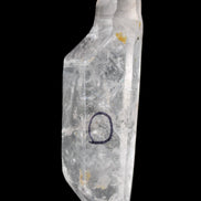 Herkimer Diamond Quartz Enhydro 97*30*21mm 97g in sunlight - Rocks and Things Store