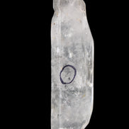 Herkimer Diamond Quartz Enhydro 97*30*21mm 97g in sunlight - Rocks and Things Store
