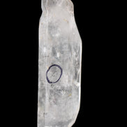 Herkimer Diamond Quartz Enhydro 97*30*21mm 97g in sunlight - Rocks and Things Store