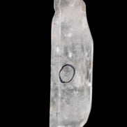 Herkimer Diamond Quartz Enhydro 97*30*21mm 97g in sunlight - Rocks and Things Store